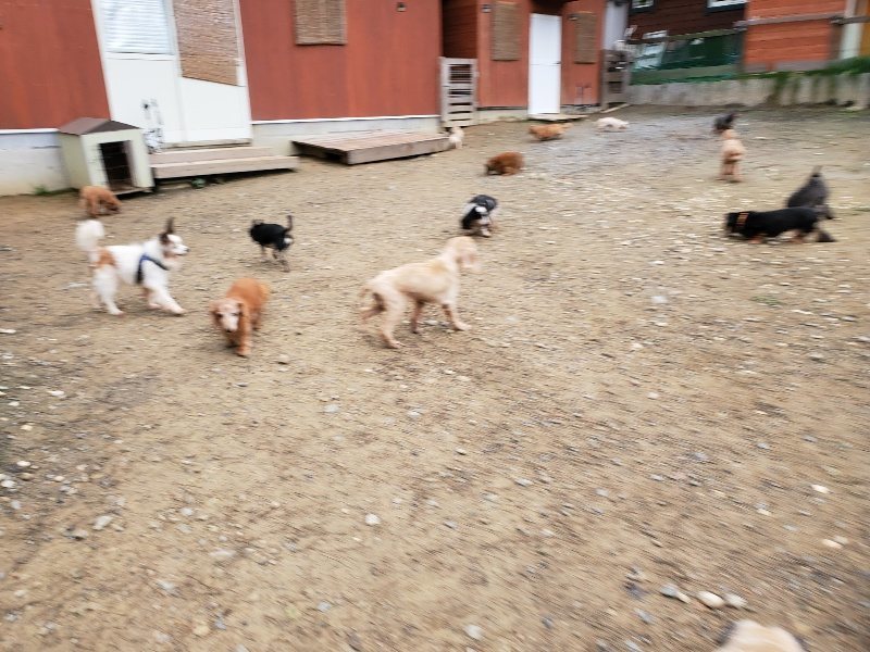 f:id:roukenhome-ann:20191021193328j:plain f:id:roukenhome-ann:20191021193328j:plain