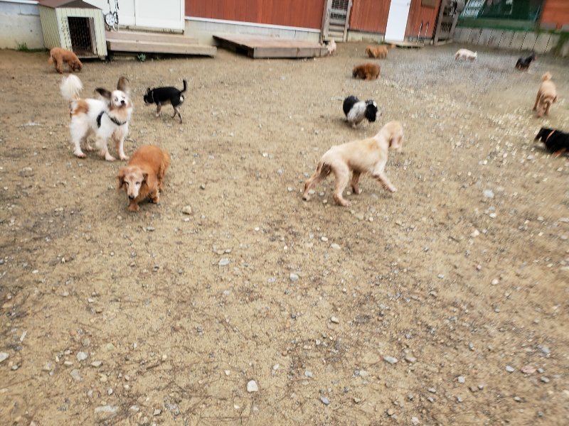 f:id:roukenhome-ann:20191021193337j:plain f:id:roukenhome-ann:20191021193337j:plain