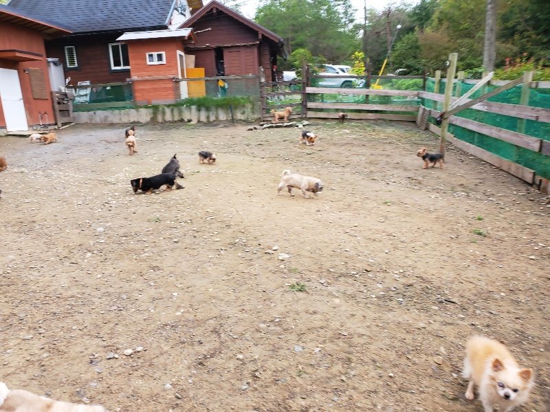 f:id:roukenhome-ann:20191021193348j:plain f:id:roukenhome-ann:20191021193348j:plain