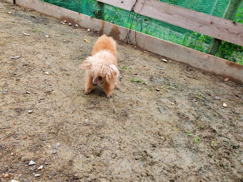 f:id:roukenhome-ann:20191021193355j:plain f:id:roukenhome-ann:20191021193355j:plain