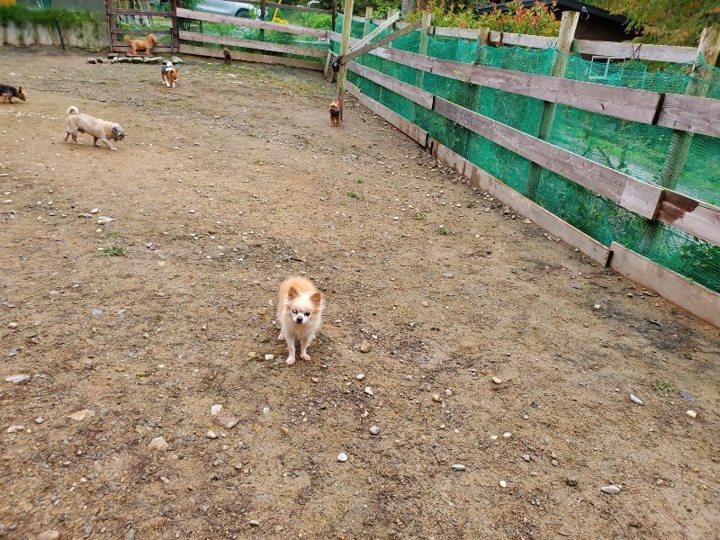 f:id:roukenhome-ann:20191021193402j:plain f:id:roukenhome-ann:20191021193402j:plain
