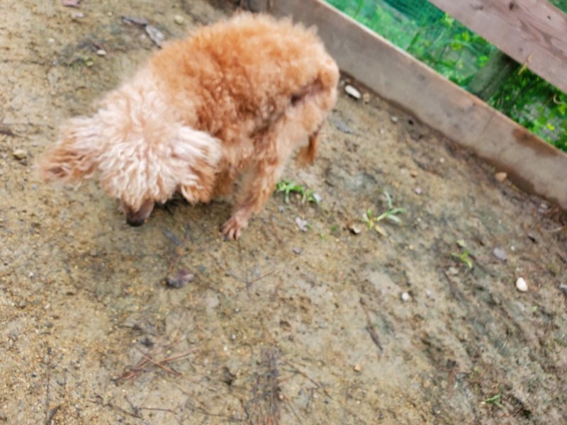 f:id:roukenhome-ann:20191021193427j:plain f:id:roukenhome-ann:20191021193427j:plain