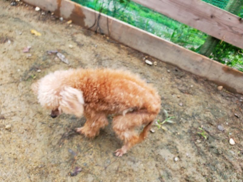 f:id:roukenhome-ann:20191021193446j:plain f:id:roukenhome-ann:20191021193446j:plain