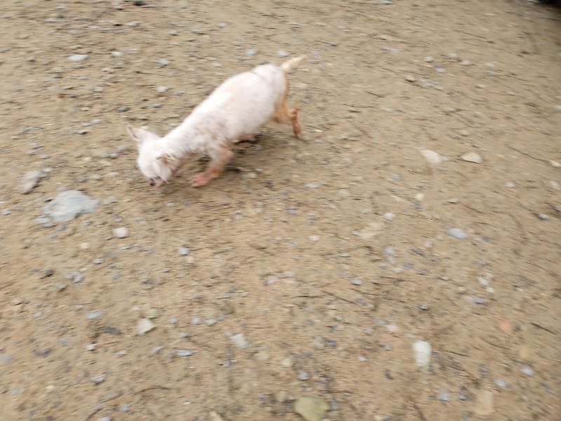 f:id:roukenhome-ann:20191021195123j:plain f:id:roukenhome-ann:20191021195123j:plain