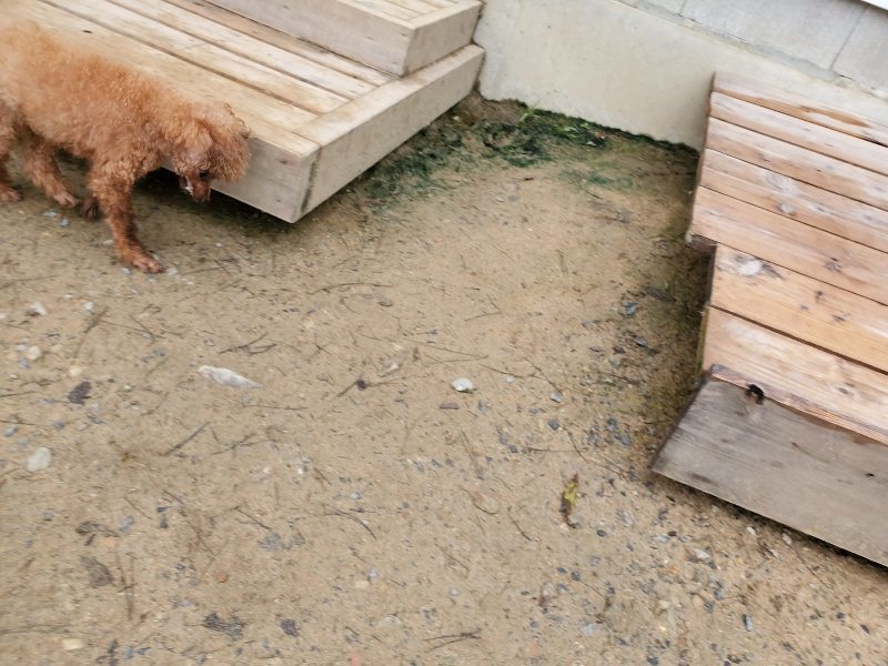 f:id:roukenhome-ann:20191021195130j:plain f:id:roukenhome-ann:20191021195130j:plain