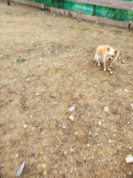 f:id:roukenhome-ann:20191021195207j:plain f:id:roukenhome-ann:20191021195207j:plain