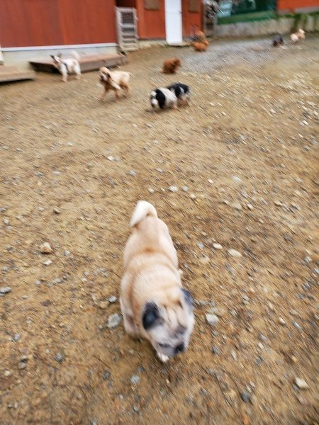 f:id:roukenhome-ann:20191021195220j:plain f:id:roukenhome-ann:20191021195220j:plain