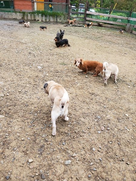 f:id:roukenhome-ann:20191021195327j:plain f:id:roukenhome-ann:20191021195327j:plain