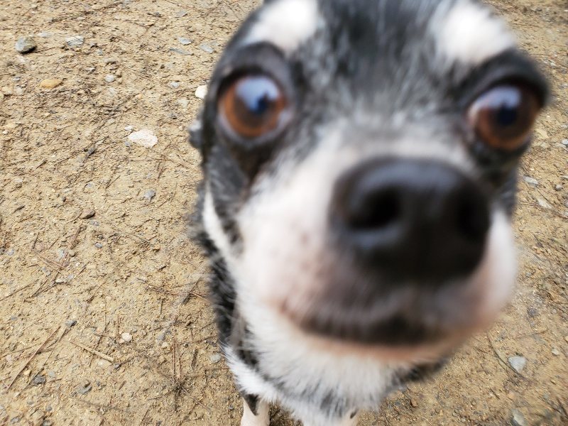 f:id:roukenhome-ann:20191021195354j:plain f:id:roukenhome-ann:20191021195354j:plain