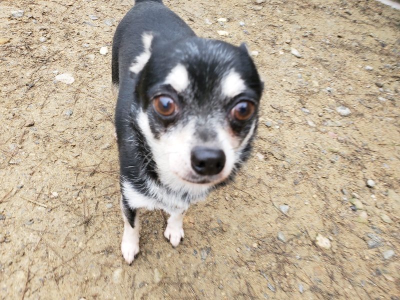 f:id:roukenhome-ann:20191021195426j:plain f:id:roukenhome-ann:20191021195426j:plain