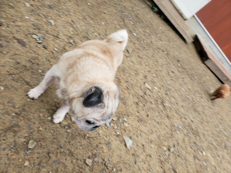 f:id:roukenhome-ann:20191021195449j:plain f:id:roukenhome-ann:20191021195449j:plain