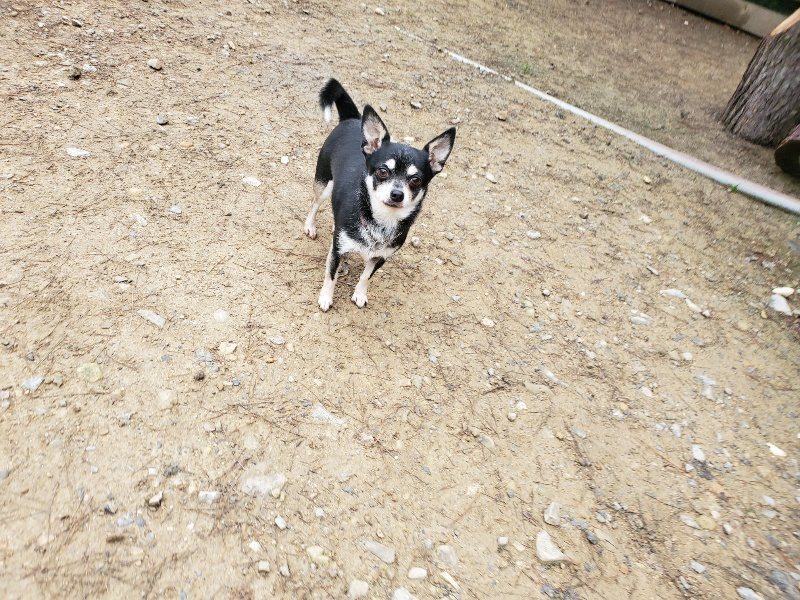 f:id:roukenhome-ann:20191021195511j:plain f:id:roukenhome-ann:20191021195511j:plain