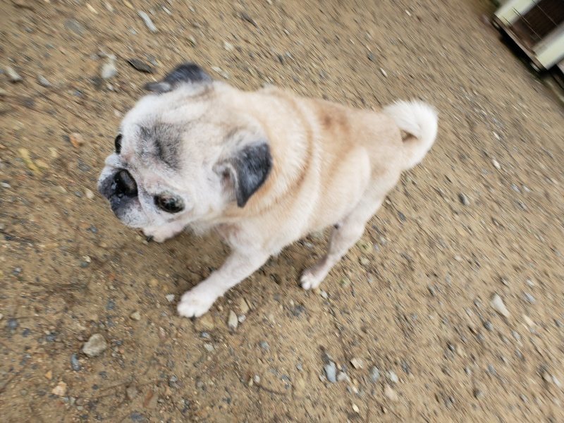 f:id:roukenhome-ann:20191021195519j:plain f:id:roukenhome-ann:20191021195519j:plain