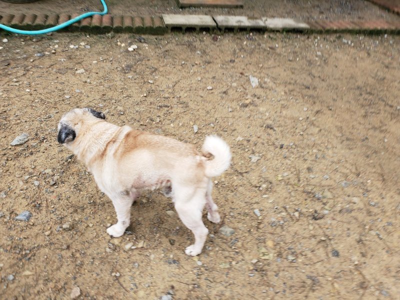 f:id:roukenhome-ann:20191021195533j:plain f:id:roukenhome-ann:20191021195533j:plain