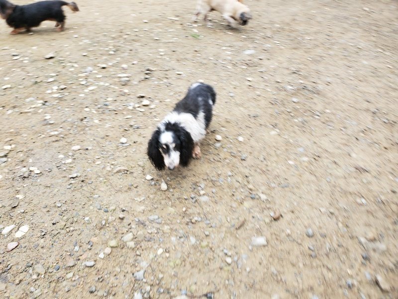 f:id:roukenhome-ann:20191021195554j:plain f:id:roukenhome-ann:20191021195554j:plain