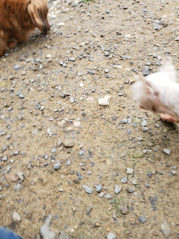 f:id:roukenhome-ann:20191021195652j:plain f:id:roukenhome-ann:20191021195652j:plain