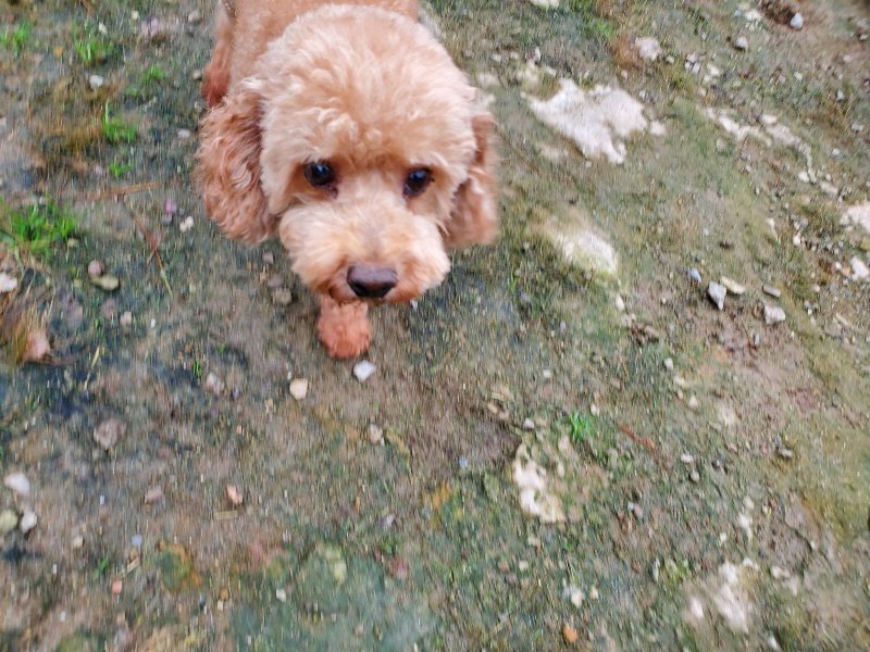 f:id:roukenhome-ann:20191021200105j:plain f:id:roukenhome-ann:20191021200105j:plain