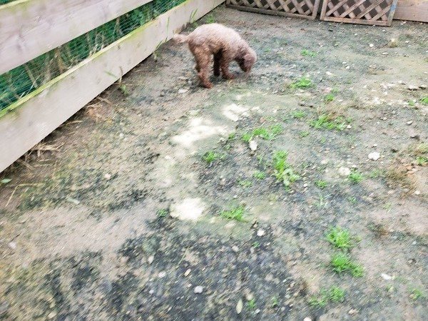 f:id:roukenhome-ann:20191021200122j:plain f:id:roukenhome-ann:20191021200122j:plain