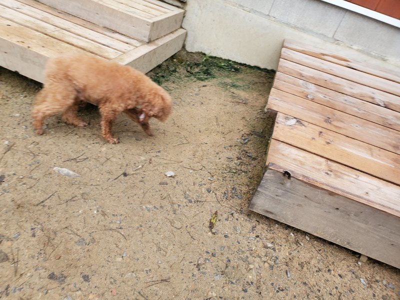 f:id:roukenhome-ann:20191021200130j:plain f:id:roukenhome-ann:20191021200130j:plain