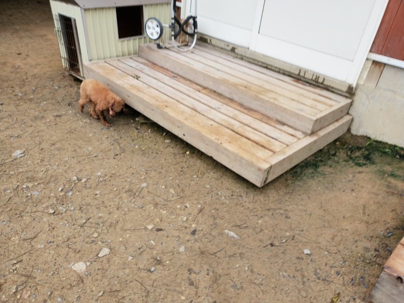 f:id:roukenhome-ann:20191021200200j:plain f:id:roukenhome-ann:20191021200200j:plain