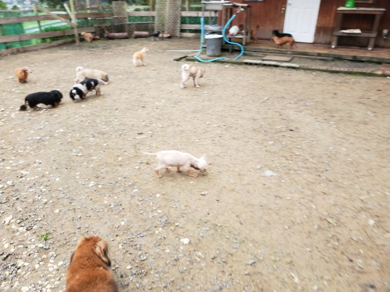 f:id:roukenhome-ann:20191021200207j:plain f:id:roukenhome-ann:20191021200207j:plain