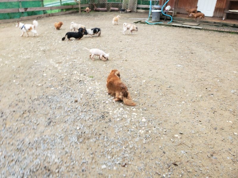 f:id:roukenhome-ann:20191021200213j:plain f:id:roukenhome-ann:20191021200213j:plain