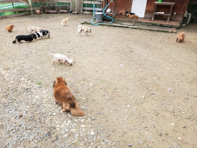 f:id:roukenhome-ann:20191021200225j:plain f:id:roukenhome-ann:20191021200225j:plain