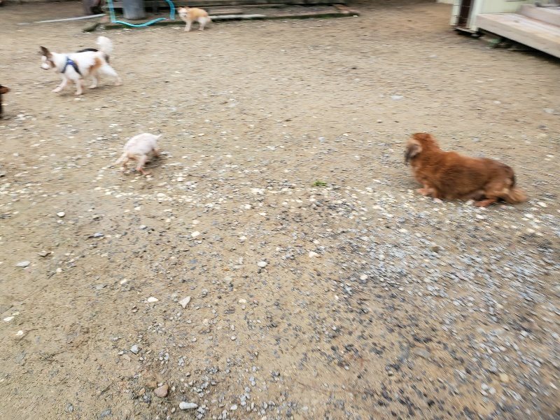 f:id:roukenhome-ann:20191021200301j:plain f:id:roukenhome-ann:20191021200301j:plain