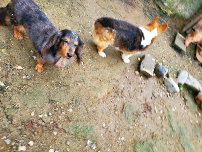 f:id:roukenhome-ann:20191021200309j:plain f:id:roukenhome-ann:20191021200309j:plain