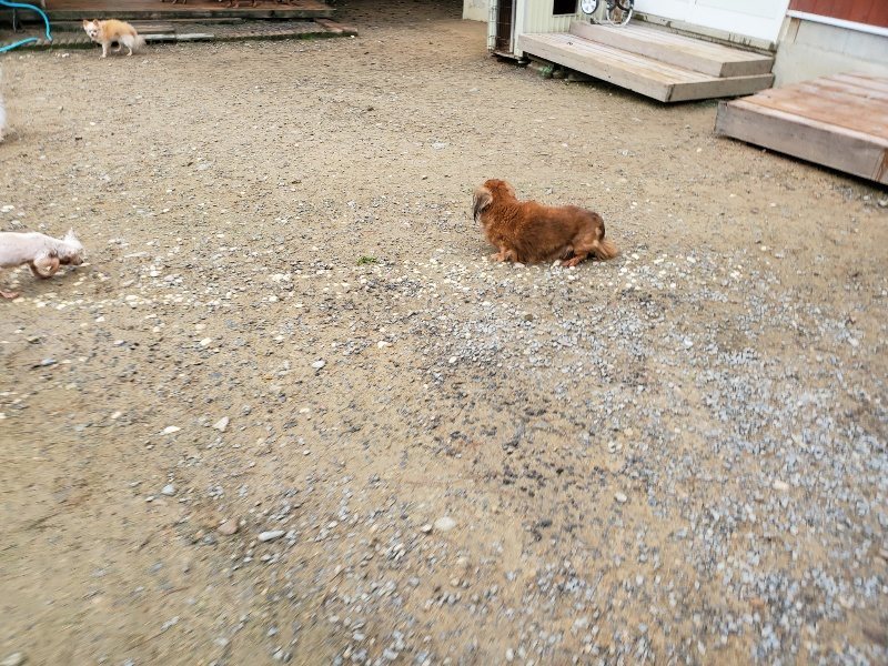 f:id:roukenhome-ann:20191021200320j:plain f:id:roukenhome-ann:20191021200320j:plain