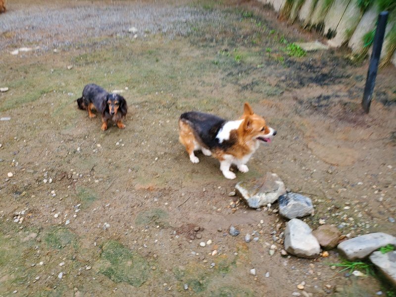 f:id:roukenhome-ann:20191021200351j:plain f:id:roukenhome-ann:20191021200351j:plain