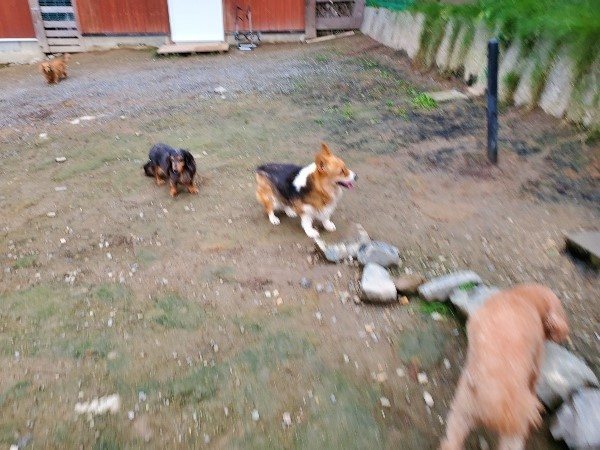 f:id:roukenhome-ann:20191021200359j:plain f:id:roukenhome-ann:20191021200359j:plain