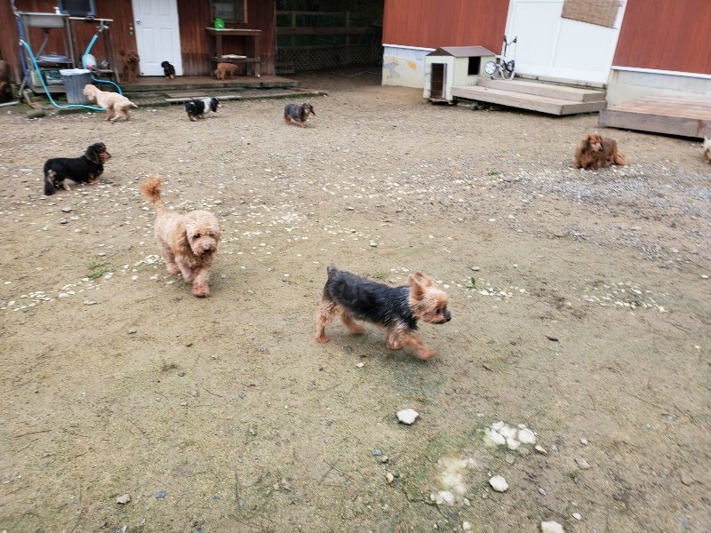 f:id:roukenhome-ann:20191021200610j:plain f:id:roukenhome-ann:20191021200610j:plain
