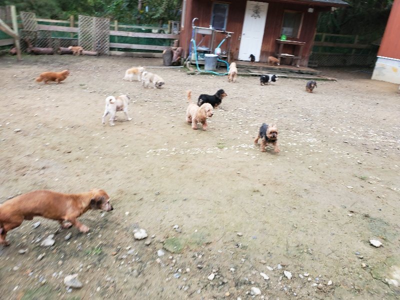 f:id:roukenhome-ann:20191021200618j:plain f:id:roukenhome-ann:20191021200618j:plain