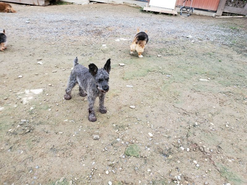 f:id:roukenhome-ann:20191021200627j:plain f:id:roukenhome-ann:20191021200627j:plain
