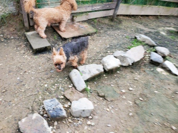 f:id:roukenhome-ann:20191021200654j:plain f:id:roukenhome-ann:20191021200654j:plain