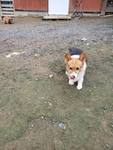 f:id:roukenhome-ann:20191021200715j:plain f:id:roukenhome-ann:20191021200715j:plain