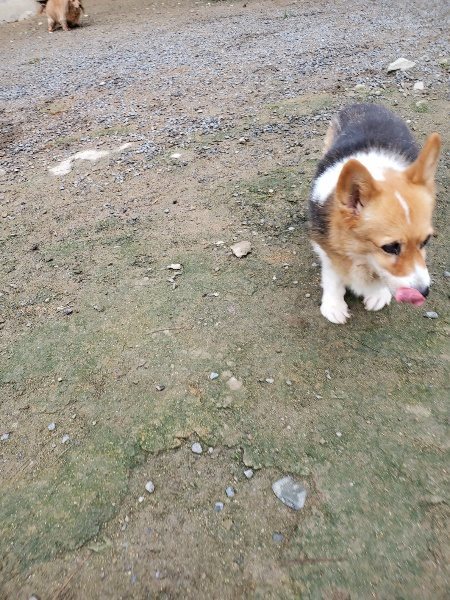 f:id:roukenhome-ann:20191021200725j:plain f:id:roukenhome-ann:20191021200725j:plain