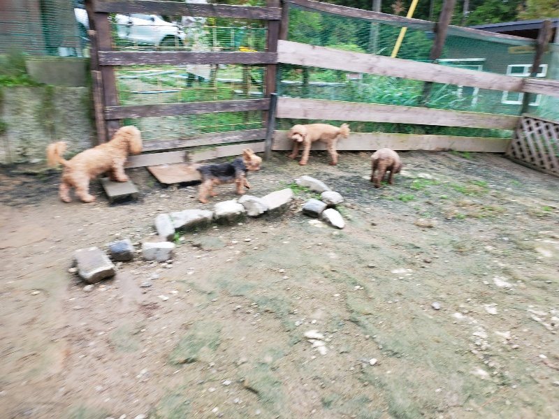 f:id:roukenhome-ann:20191021200740j:plain f:id:roukenhome-ann:20191021200740j:plain