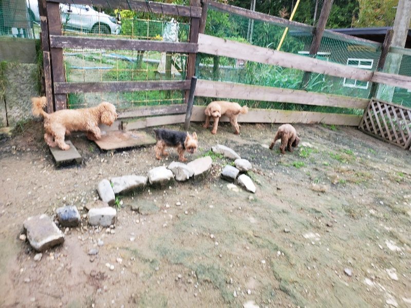f:id:roukenhome-ann:20191021200750j:plain f:id:roukenhome-ann:20191021200750j:plain