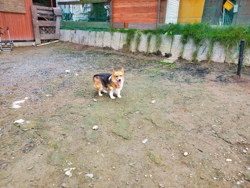 f:id:roukenhome-ann:20191021200759j:plain f:id:roukenhome-ann:20191021200759j:plain