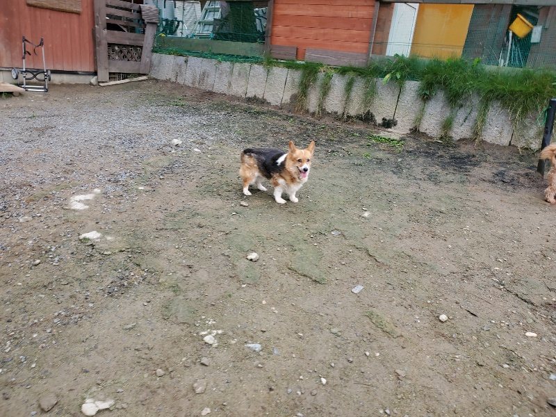f:id:roukenhome-ann:20191021200806j:plain f:id:roukenhome-ann:20191021200806j:plain