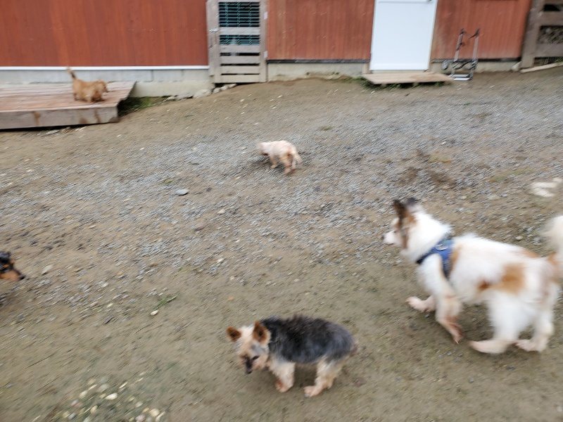 f:id:roukenhome-ann:20191021200814j:plain f:id:roukenhome-ann:20191021200814j:plain