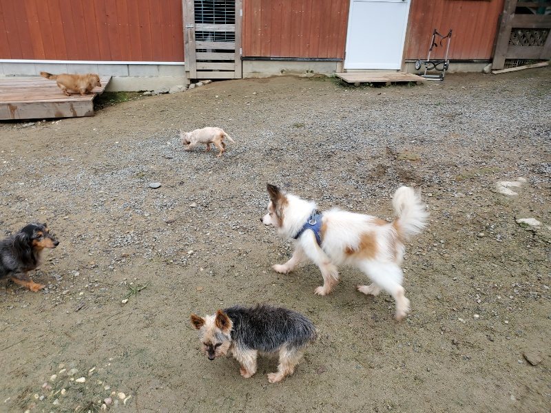 f:id:roukenhome-ann:20191021200820j:plain f:id:roukenhome-ann:20191021200820j:plain