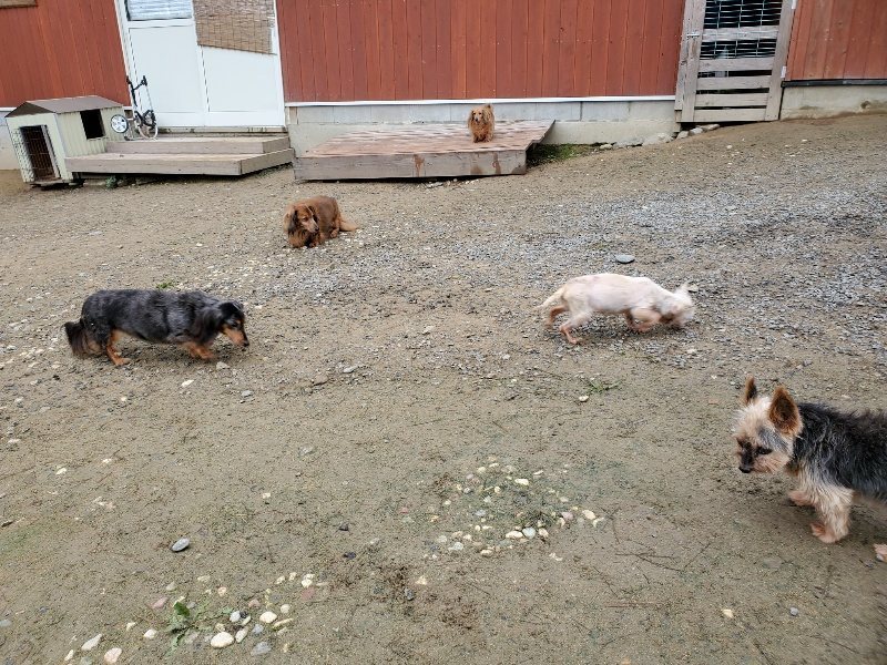 f:id:roukenhome-ann:20191021200830j:plain f:id:roukenhome-ann:20191021200830j:plain