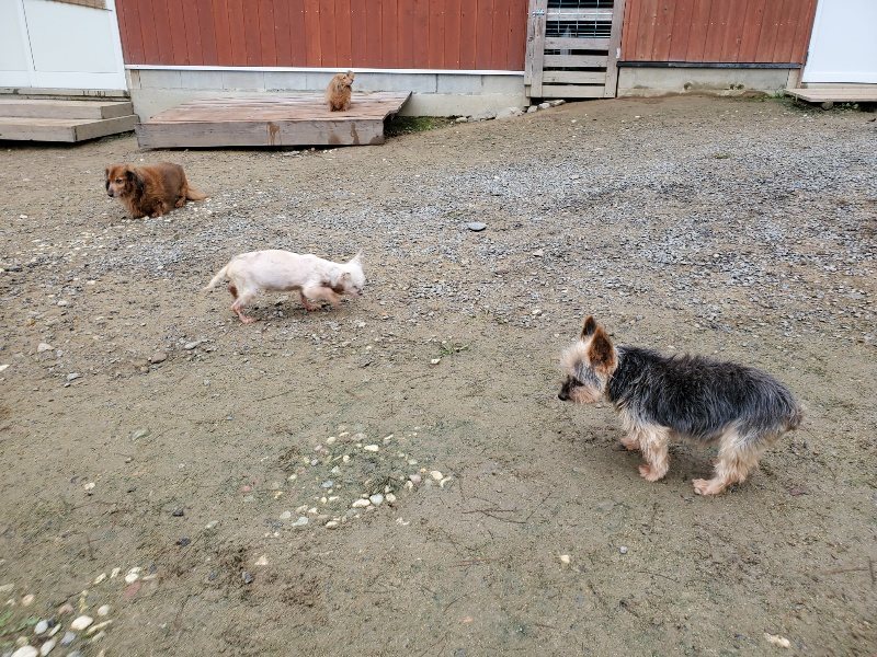 f:id:roukenhome-ann:20191021200850j:plain f:id:roukenhome-ann:20191021200850j:plain