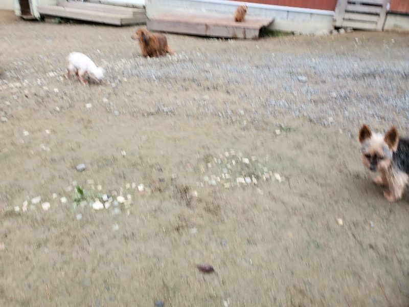 f:id:roukenhome-ann:20191021200855j:plain f:id:roukenhome-ann:20191021200855j:plain