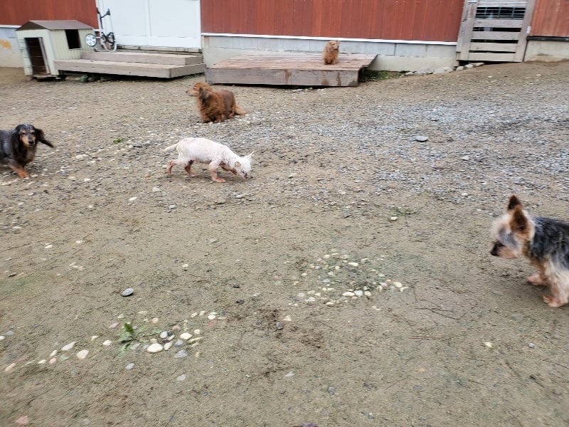 f:id:roukenhome-ann:20191021200916j:plain f:id:roukenhome-ann:20191021200916j:plain
