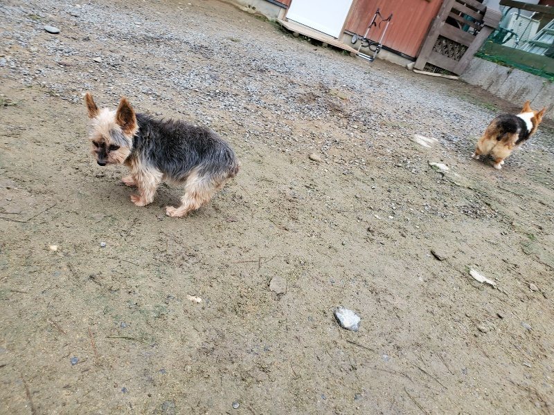 f:id:roukenhome-ann:20191021200928j:plain f:id:roukenhome-ann:20191021200928j:plain