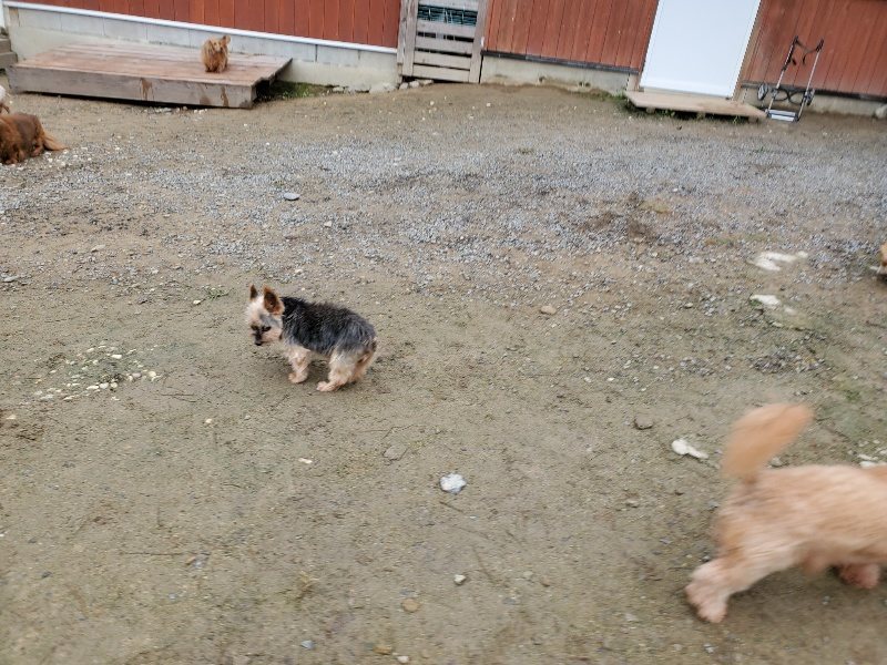 f:id:roukenhome-ann:20191021200936j:plain f:id:roukenhome-ann:20191021200936j:plain